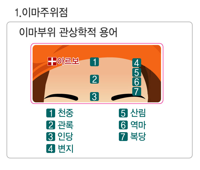 이마부위관상,이마점관상,이마점,천중,관록,인당,변지,산림,역마,복당