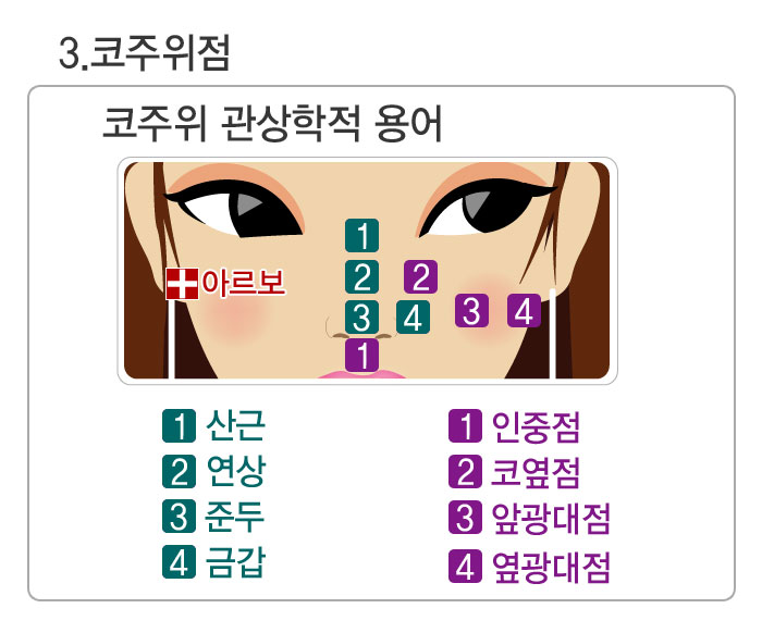 코점,코점관상,아르보의원,산근,연상,준두,금갑,인중점,코옆점,앞광대점,옆광대점