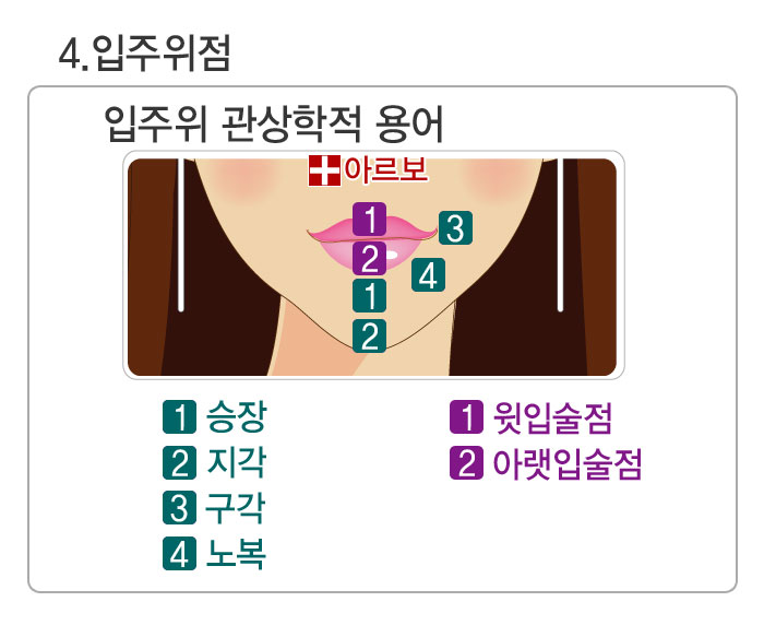 입술점,입점,입술점관상,승장,지각,구각,노복,윗입술점,아랫입술점,아르보의원,입술필러